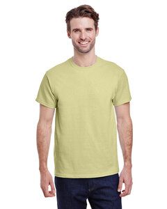 Gildan 2000 - Ultra Cotton™ T-Shirt Pistachio