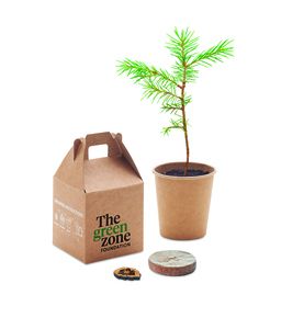GiftRetail MO6228 - GROWTREE™ Pine tree set Beige