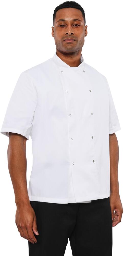 Dennys DD08S - Chef Short Sleeve Jacket