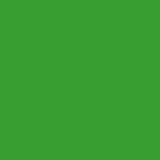 Madeira M918 - PolyNeon 40 Thread 5000m Leaf Green 1749