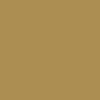 Madeira M918 - PolyNeon 40 Thread 5000m Light Brown 1673