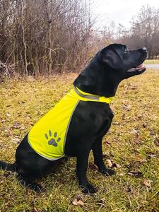 Korntex KXTH - High Visibility Dog Safety Vest